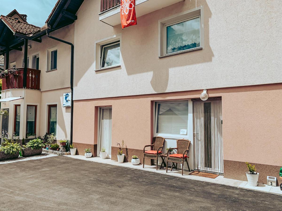 Apartments Ivanovic Idrija Zewnętrze zdjęcie